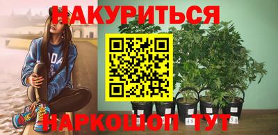 твердый Новодвинск
