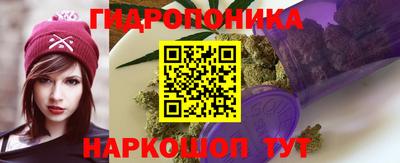 твердый Новодвинск